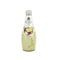EVERGREEN Coconut Milk Drink with Nata De Coco Melon Flavor 9.8oz