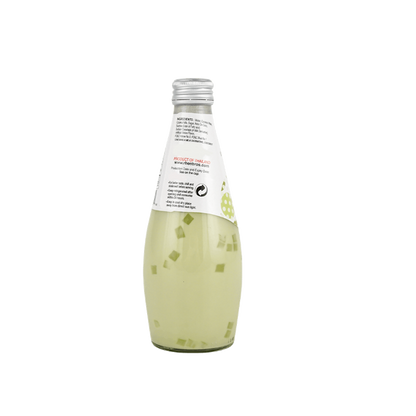 EVERGREEN Coconut Milk Drink with Nata De Coco Melon Flavor 9.8oz