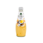 EVERGREEN Coconut Milk Drink with Nata De Coco Mango Flavor 9.8oz
