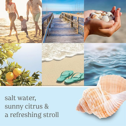 Yankee Candle Concentrated Room Spray, Beach Walk, 1.5 OZ (Pack of 6)