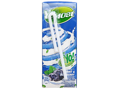 Yomost Yogurt Drink Mint & Blueberry Flavor 170ml